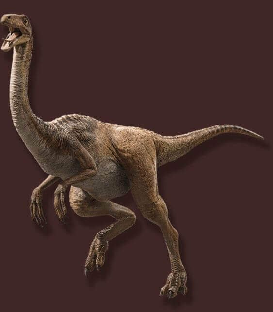 Gallimimus Nedir