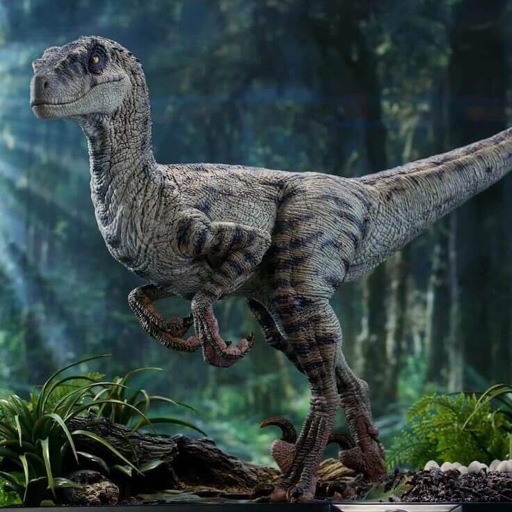 Velociraptor