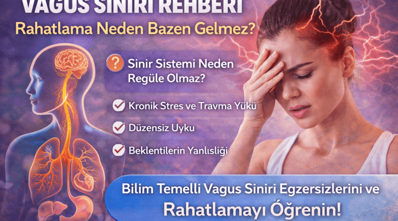 Vagus Siniri Rehberi: Rahatlama Neden Gelmez? Bilimsel Açıklama